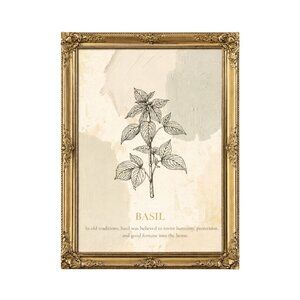 NEW Basil of the Hearth – Botanical Herb Study, Apothecary Wall Art 8x10